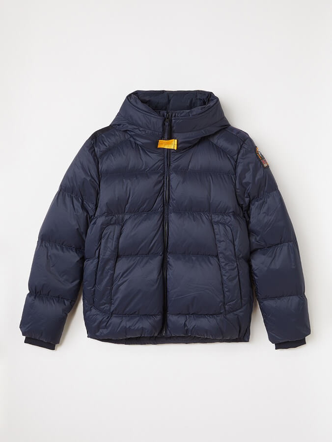 Arctic Blue Puffer
