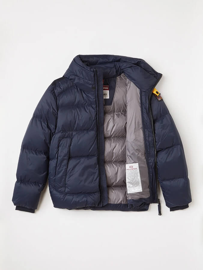 Arctic Blue Puffer