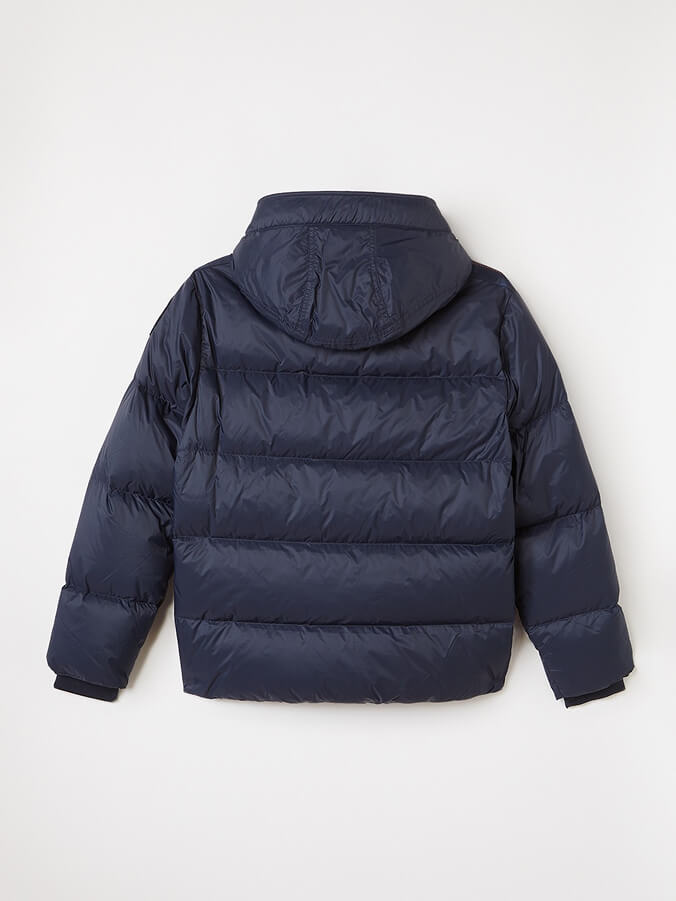 Arctic Blue Puffer